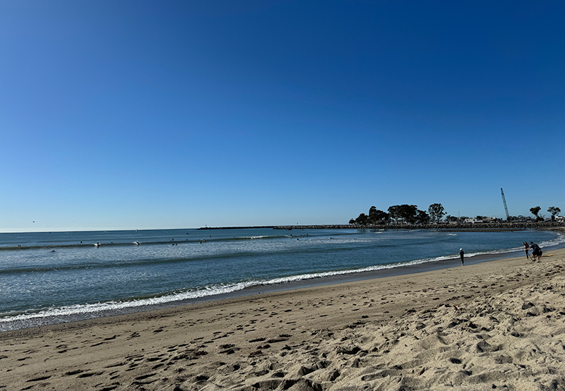 Doheny State Beach